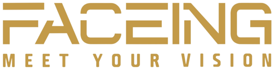 Logo Faceing MEET YOUR VISION s.r.o.
